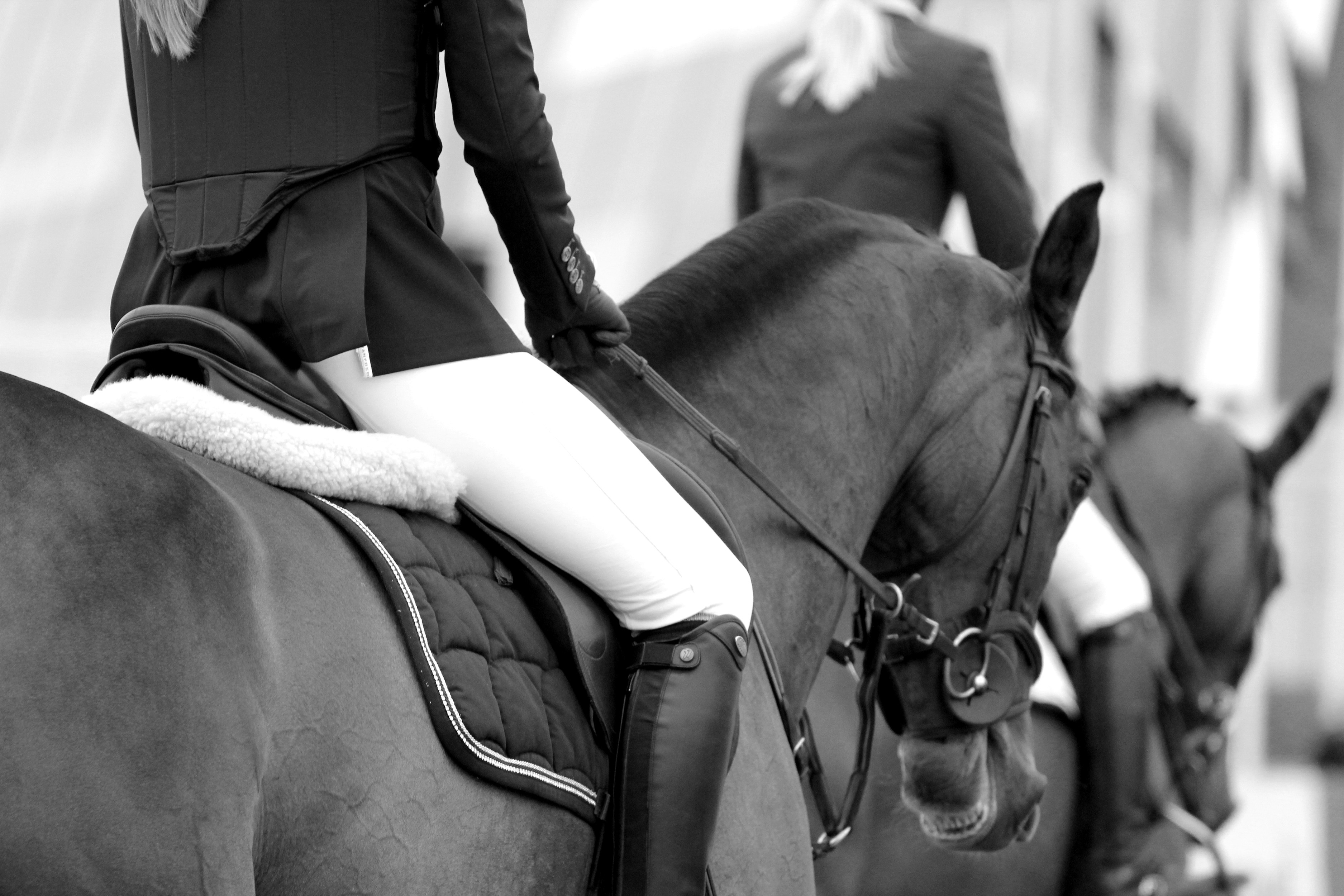 Management viene de manejar caballos: la historia que nadie te contó